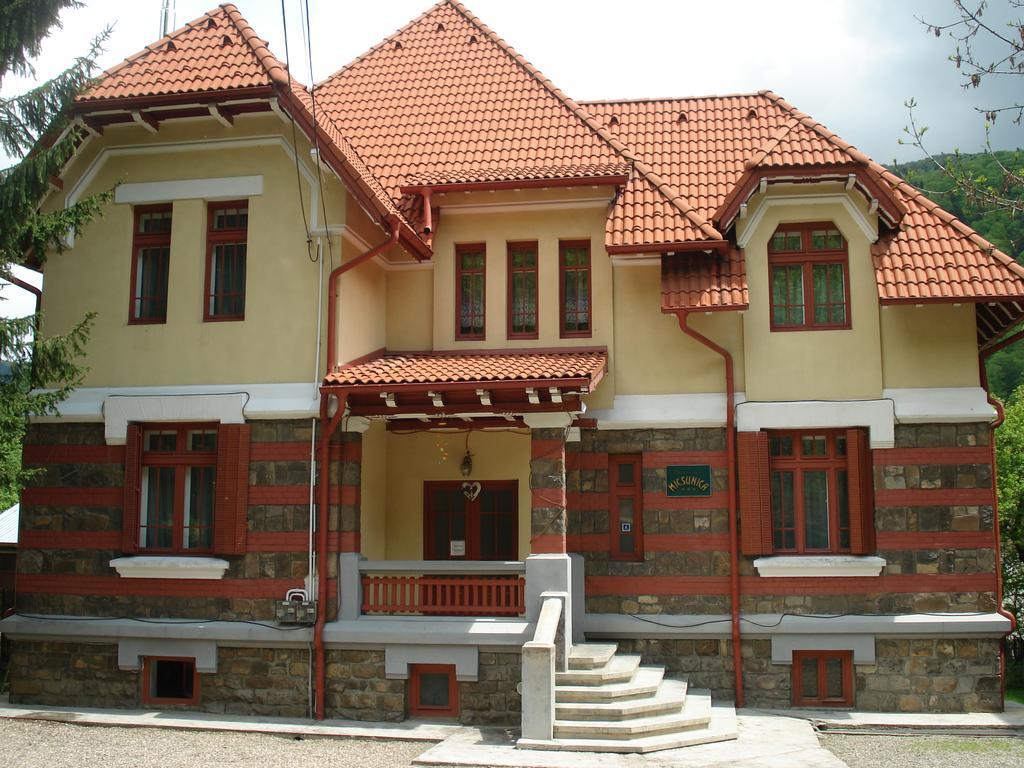 Pensiunea Micsunica Sinaia Exterior foto
